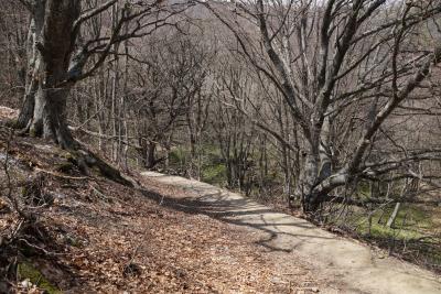 Прикрепленное изображение: A58-2 DSC00332.JPG